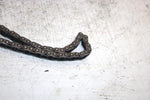 1995 Polaris Magnum 4x4 Oem Cam Chain W/Guides 3084917 3084916 3084915 AP66