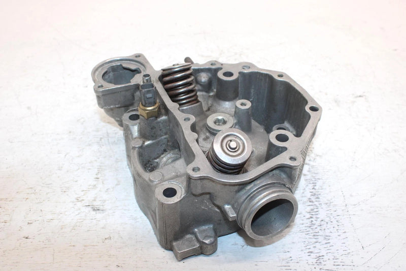 2019 Honda Trx500fe2ac Oem Cylinder Head 12200-HP7-A01 AH12