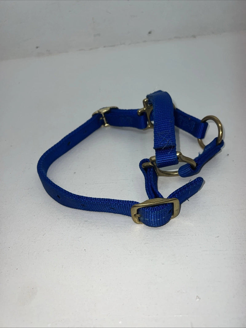 New Fabtron Blue Nylon Sheep Halter #NP121-2 3C-19