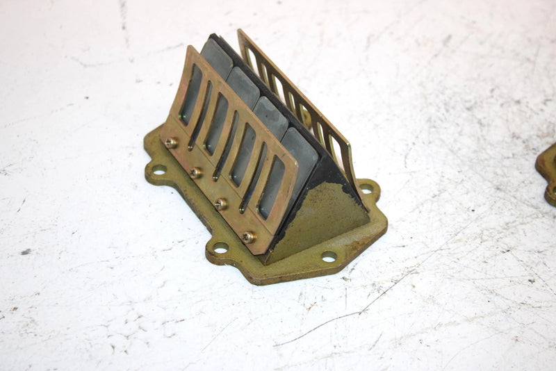 01 Arctic Cat Mountain Cat 800 Oem Reed Valve Pair 3005-876 SAS9