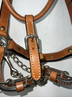 New Light Oil Genuine Leather Show Halter With Lead Rope Silver Accents W-22
