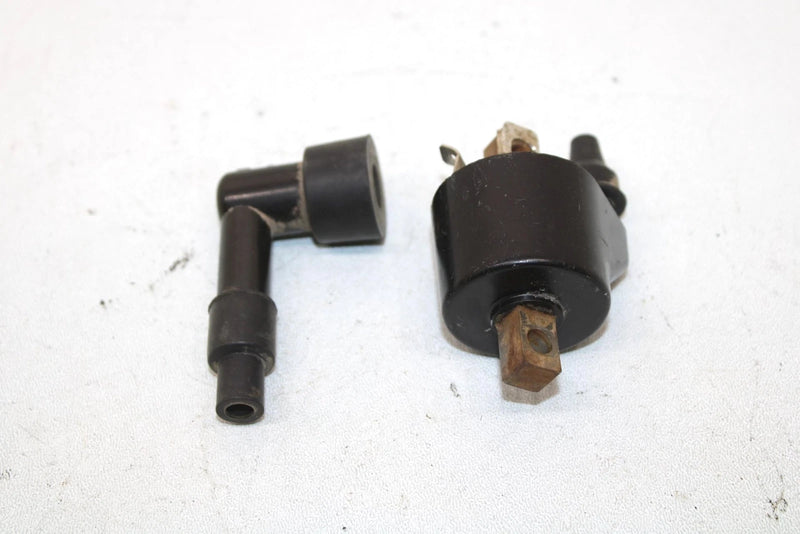 1996 Polaris Xplorer 300 Oem Ignition Coil 3083923 AP134
