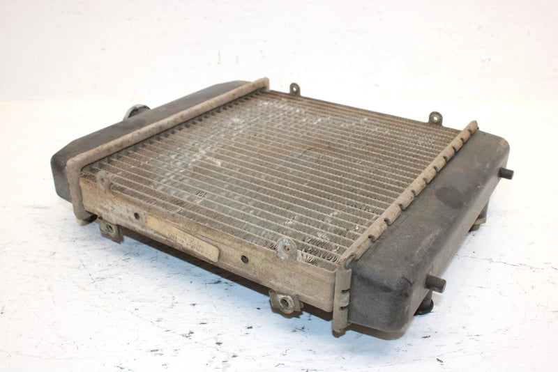 1998 Arctic Cat 454 Oem Radiator 0413-001 AA3