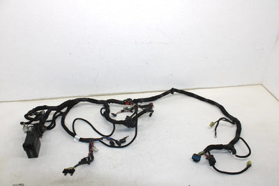 08 Polaris Iq Fst Cruiser Oem Main Wiring Harness  2410925 SP174