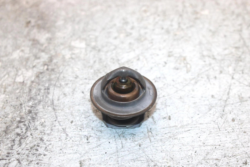 2019 Polaris Ranger 900 Xp Oem Thermostat 7052496 XP6.1