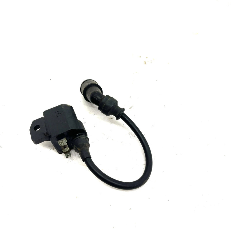 2002 Arctic Cat 375 4x4 Automatic OEM Ignition Coil 3430-055 AA34