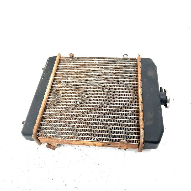 98-99 Arctic Cat 500 4X4 OEM Radiator 0413-001 AA38