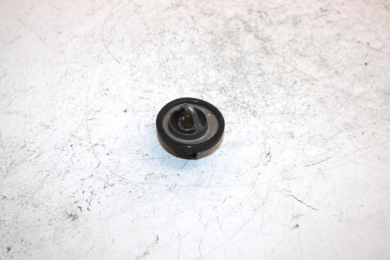 04 Polaris Predator Oem Thermostat 3088028 AP62