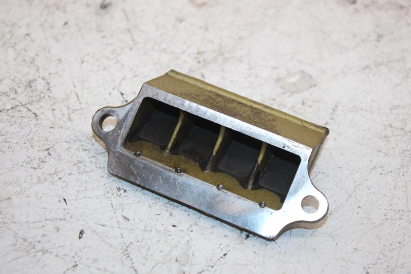 99 Arctic Cat Zr 700 Oem Reed Valve 3003-797 Q2824