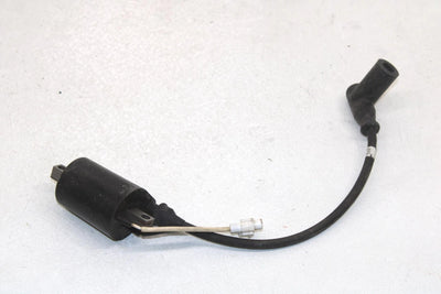 05 Polaris Rmk 900 Oem Ignition Coil MAG 4011105 SP178