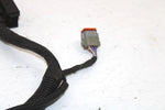 Ski-doo Oem Engine Wiring Harness 420664317 B121