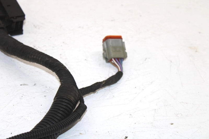 Ski-doo Oem Engine Wiring Harness 420664317 B121