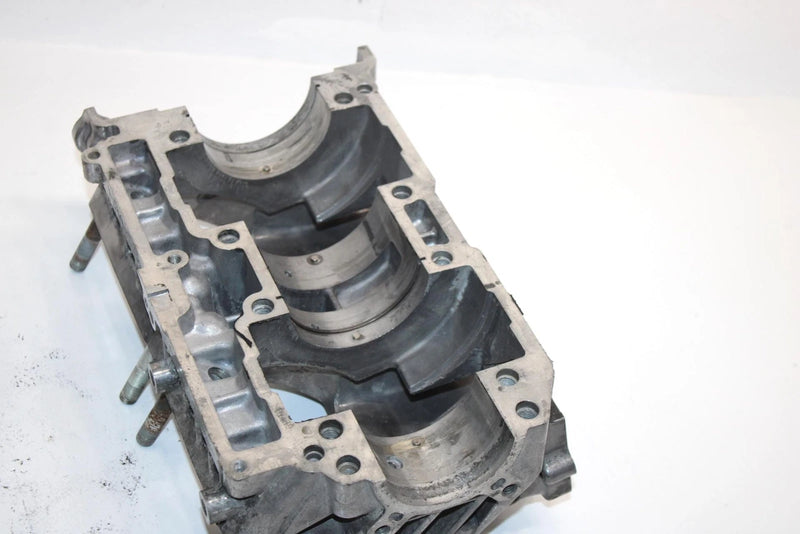 04 Arctic Cat Pantera 800 Efi Oem Crankcase W/Heat Sensor 3006-460 SAS15