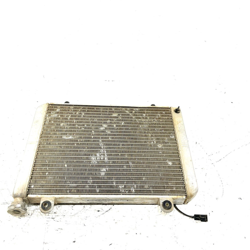 04-05 Polaris Ranger 500 4X4 OEM Radiator 1240459 XP9