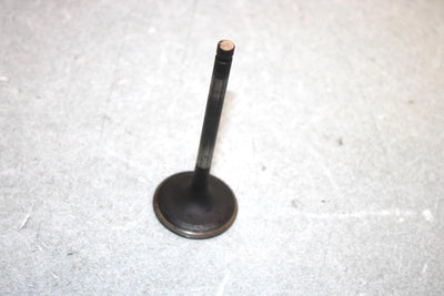 05 Yamaha  Bruin  4wd Hunter  Oem Intake Valve 1UY-12111-01-00 AY38