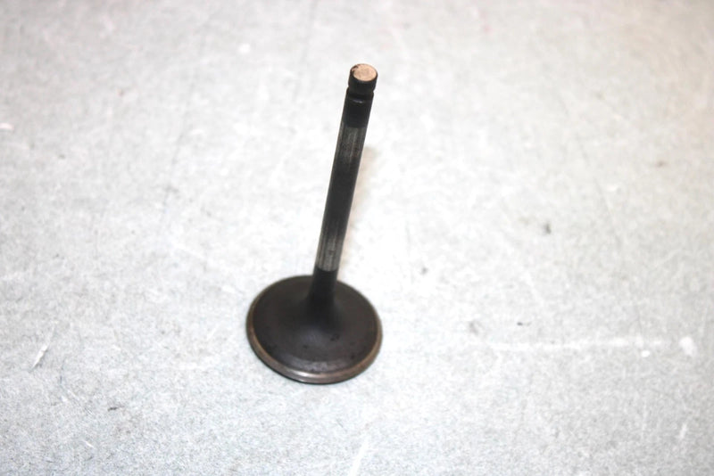 05 Yamaha  Bruin  4wd Hunter  Oem Intake Valve 1UY-12111-01-00 AY38