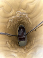 New Women’s Brown Texas Brans Cowboy Boots. 4731 8.5 8 1/2 M. 15-31