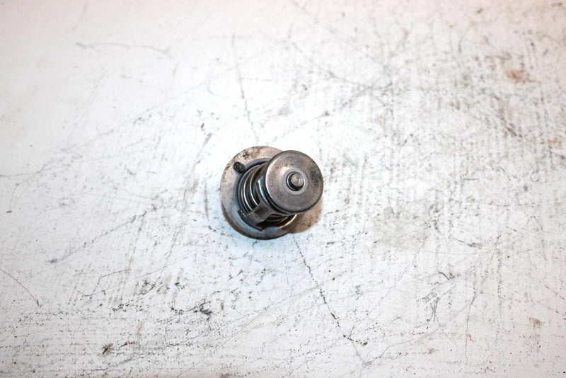 2004 Honda Fourtrax Rincon Oem Thermostat 19300-HN8-003 19300-HN8-305 AH2
