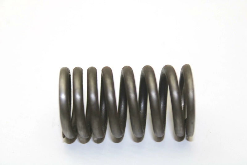 Polaris OEM Valve Spring 3086892 Q177