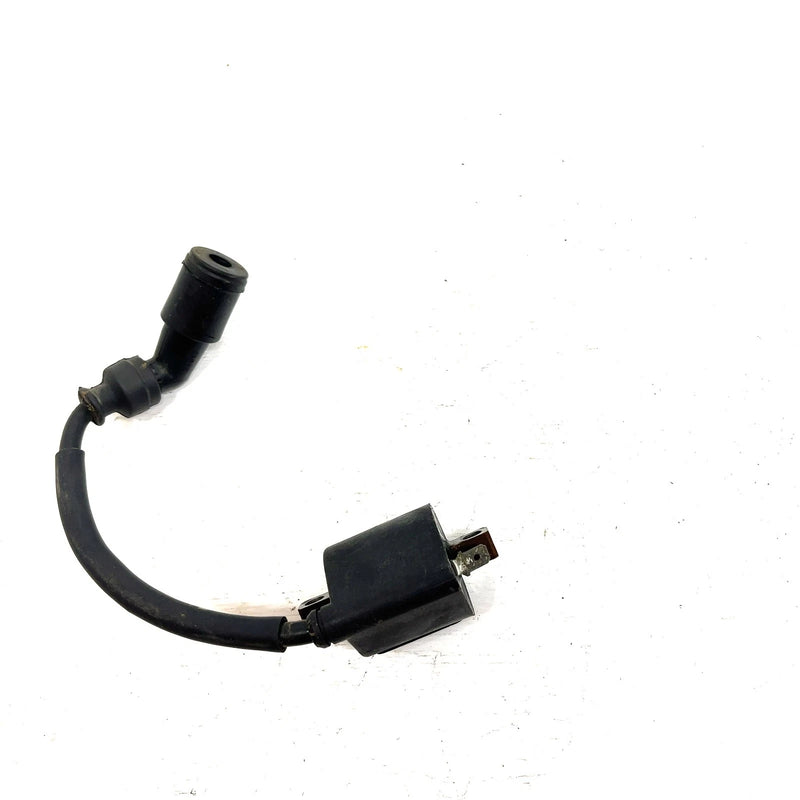 98-02 Suzuki Quadrunner 500 LTF500F 4x4 OEM Ignition Coil 33410-09F00 AS37