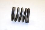 Kawasaki OEM Valve Outer Spring 12007-013 Q1771