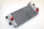 Yamaha Oem Engine Radiator 8GL-12461-00-00 B371