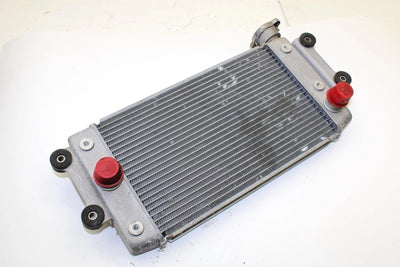 Yamaha Oem Engine Radiator 8GL-12461-00-00 B371