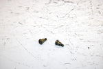 2001 Ski-doo Mxz 800 Oem Float Mount Screw Pair 404161933 SS19