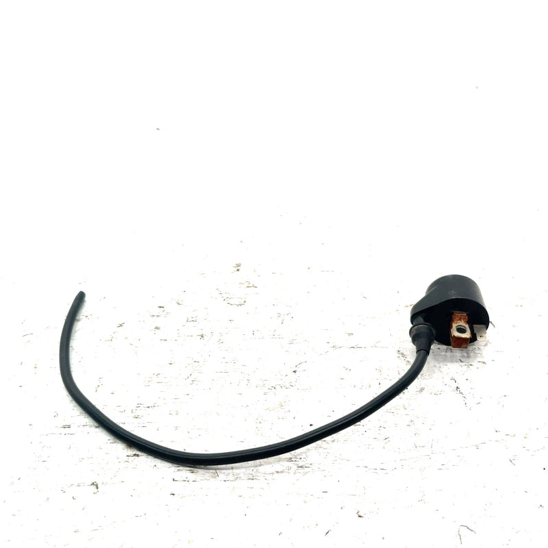 90-06 Polaris Trail Blazer 250 OEM Ignition Coil 3083923 AP224