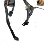 05-06 Polaris Sportsman 800 EFI OEM Main Wire Harness 2410528 AP188