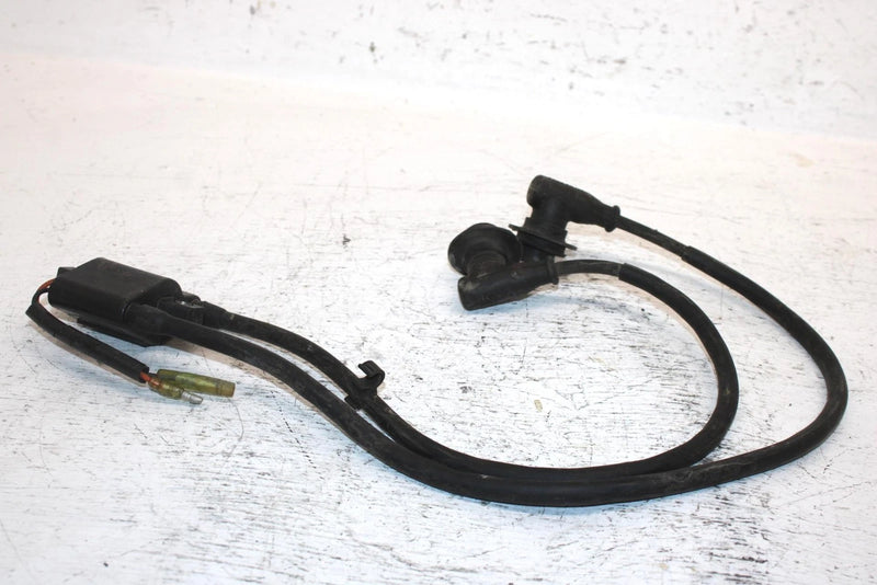 2002 Arctic Cat Z 570 Oem Ignition Coil 3005-409 SA20