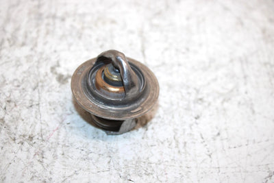 2014 Polaris Sportsman 570 Oem Thermostat 7052496 AP73