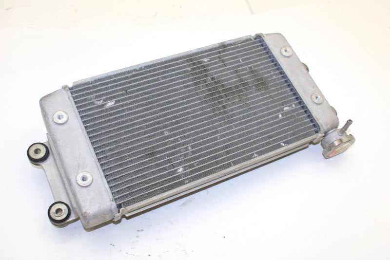Yamaha Oem Engine Radiator 8GL-12461-00-00 B371