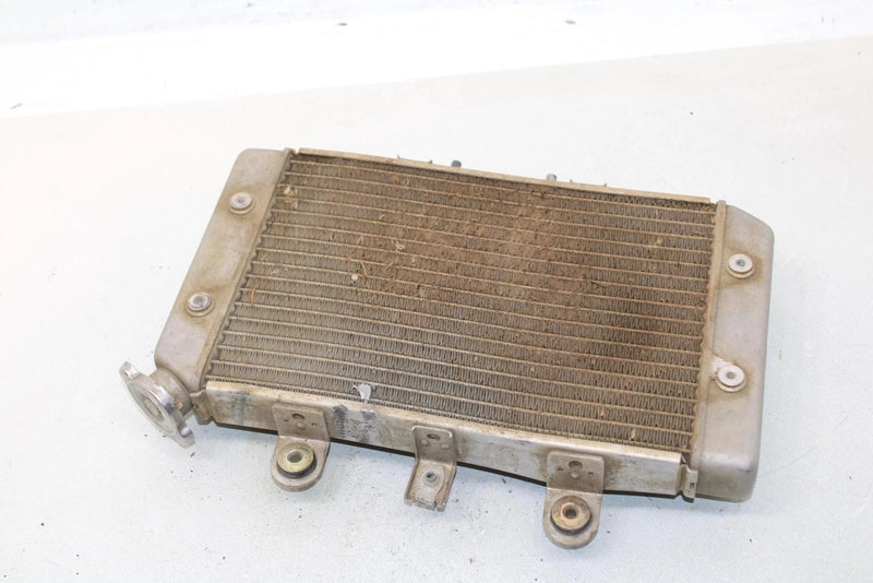 2005 Polaris Predator 500 Oem Radiator 1240130 AP3