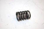02 Arctic Cat 250 2x4 Oem Clutch Spring Set Of 4 3402-239 AA22