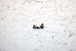 2001 Ski-doo Mxz 800 Oem Float Mount Screw Pair 404161933 SS19