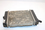 08 Arctic Cat Atv 250 Utility 2x4  Oem Radiator 3303-737 AA13