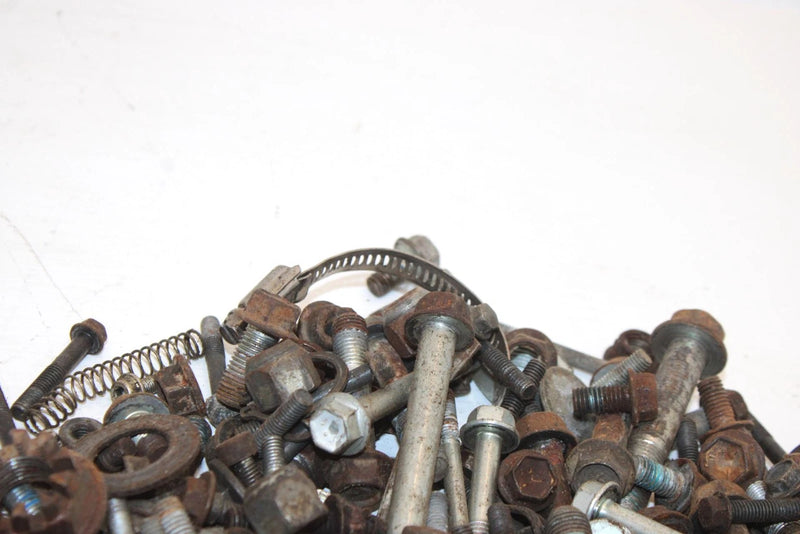 2009 Suzuki Lt-a400f Oem Nut Bolt Spacer Hardware Kit AS26