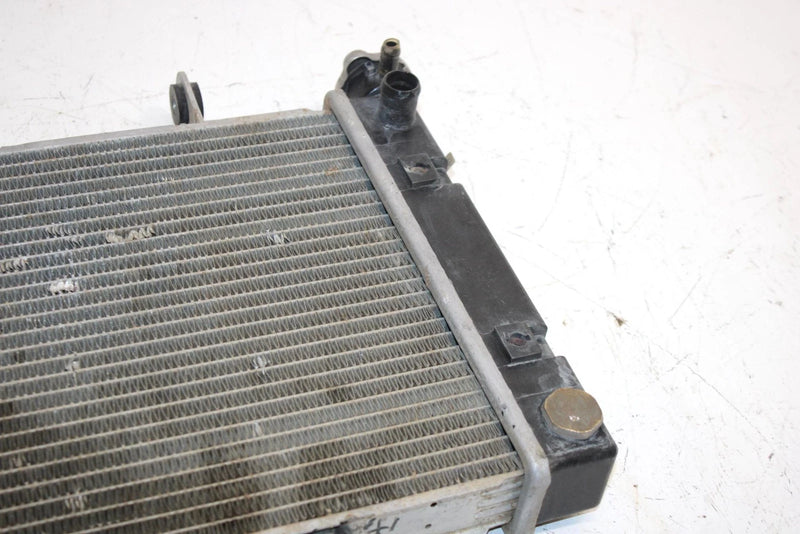 03 Bombardier Rally 175 Oem Radiator A19100179000 AB7