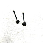 95-98 Polaris Magnum 425 4X4 OEM Exhaust Valve Pair 3085412 AP232