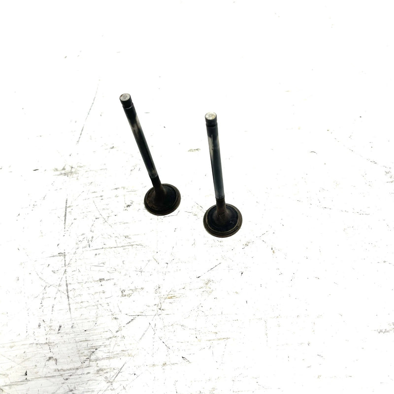 95-98 Polaris Magnum 425 4X4 OEM Exhaust Valve Pair 3085412 AP232