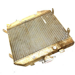 01-04 Honda Foreman Rubicon 500 TRX500 OEM Radiator 19010-HN2-505 AH95