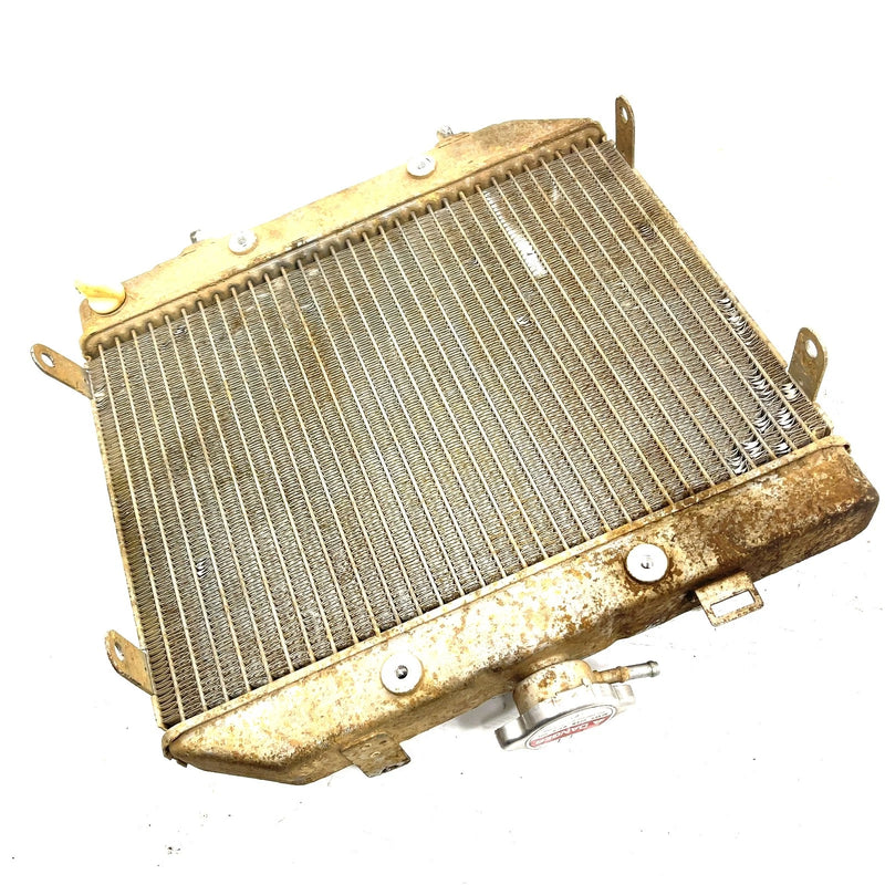 01-04 Honda Foreman Rubicon 500 TRX500 OEM Radiator 19010-HN2-505 AH95