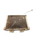 02-04 Polaris Sportsman 700 OEM Radiator 1240534 AP219
