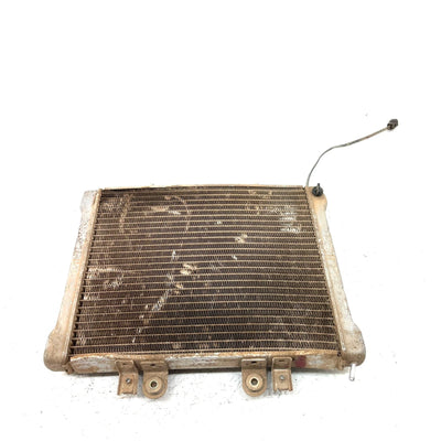 02-04 Polaris Sportsman 700 OEM Radiator 1240534 AP219