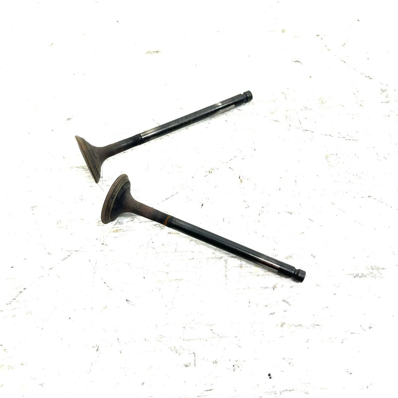95-98 Polaris Magnum 425 4X4 OEM Exhaust Valve Pair 3085412 AP232