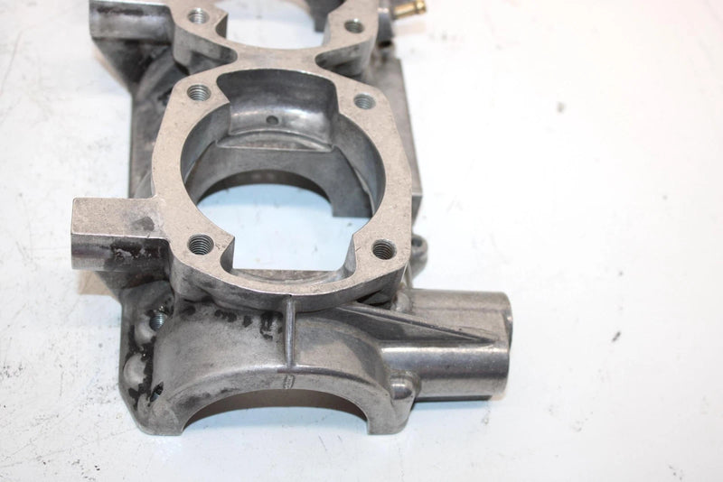 98 Arctic Cat Jag 340 Oem Crankcase 3005-129 SA229