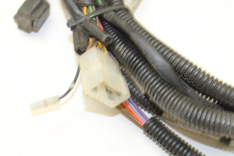 Polaris Oem Main Wiring Harness 2460517 B192