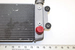 Yamaha Oem Engine Radiator 8GL-12461-00-00 B371
