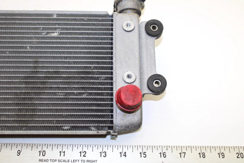 Yamaha Oem Engine Radiator 8GL-12461-00-00 B371